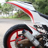 Elegant Sporty Ninja 250R